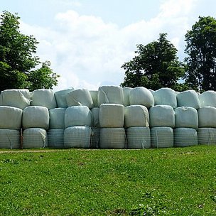 Ensilage